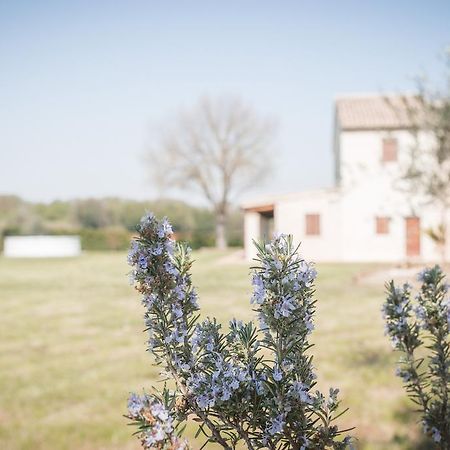 Villa Rinolfa Bellocchi Exterior photo