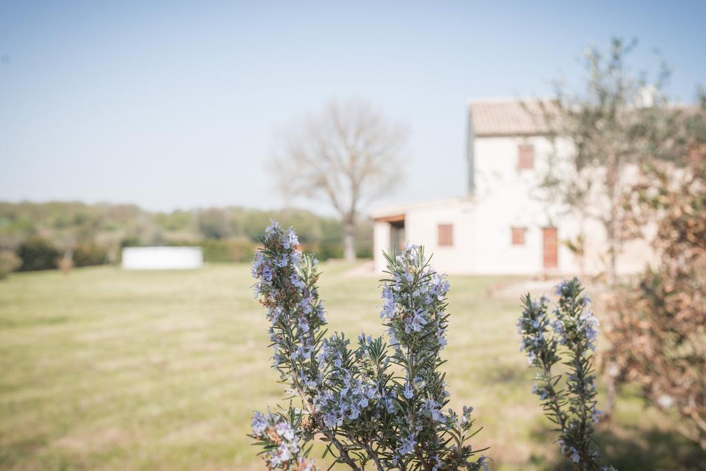 Villa Rinolfa Bellocchi Exterior photo